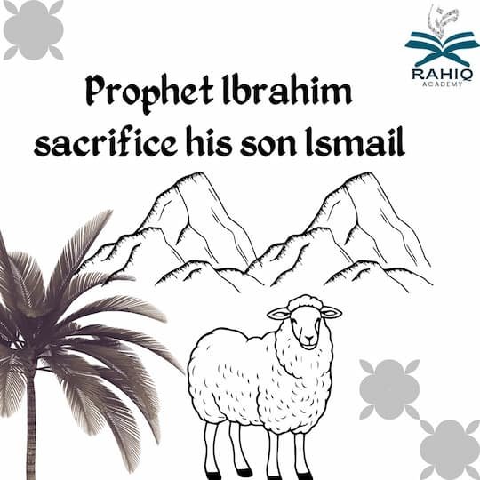 Prophet Ibrahim sacrifice his son Ismail