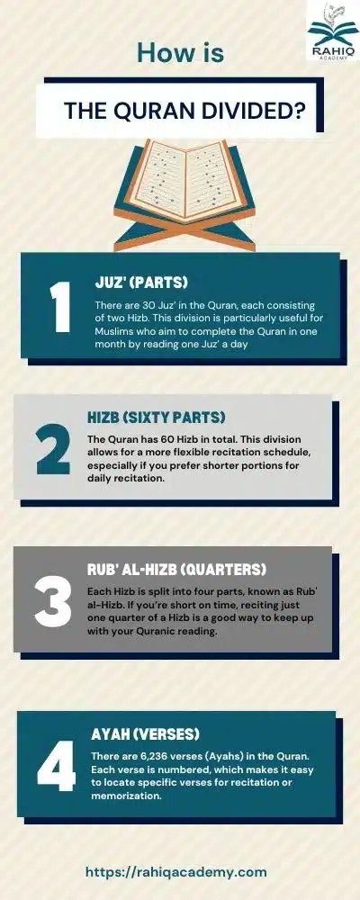 How is the Quran divided?