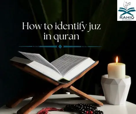 how to indentify juz in quran