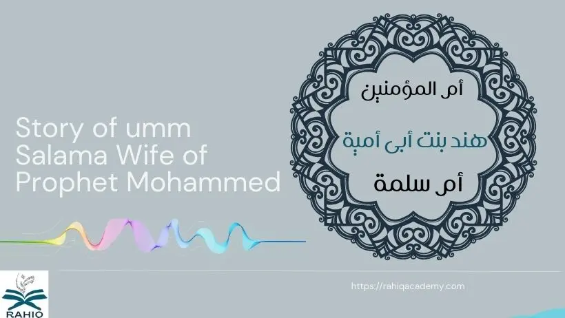 umm salama wife of prophet