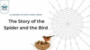 The Story of Spider and the Bird
