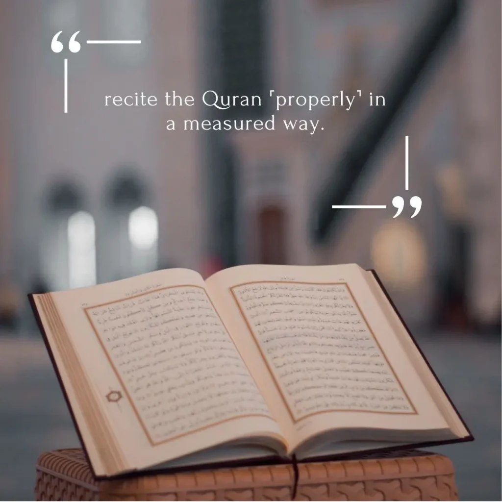 Quran recitation classes for beginners