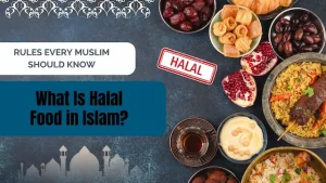 what is halal food in islam​