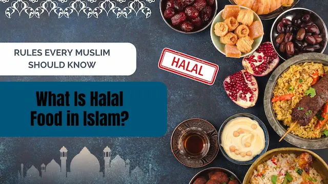 what is halal food in islam​