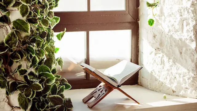 quran recitation classes