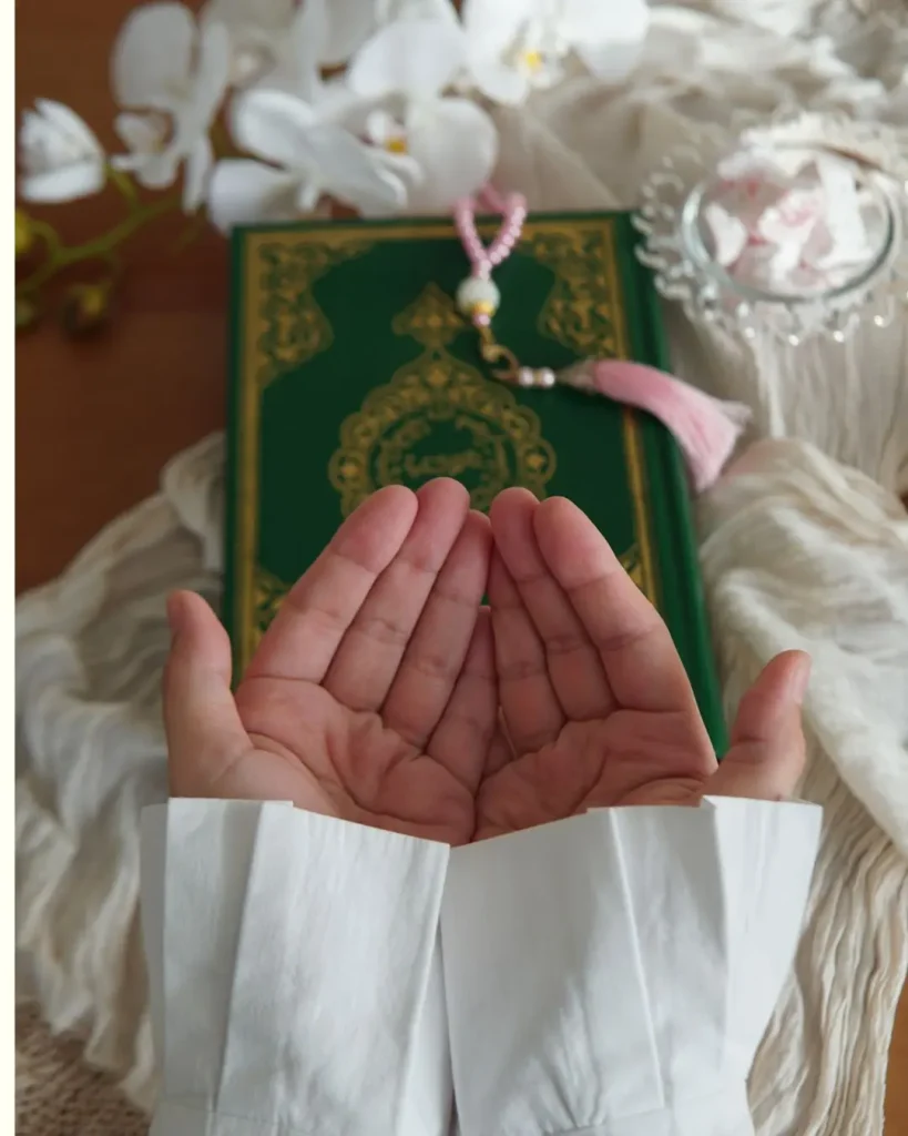 quran recitation course